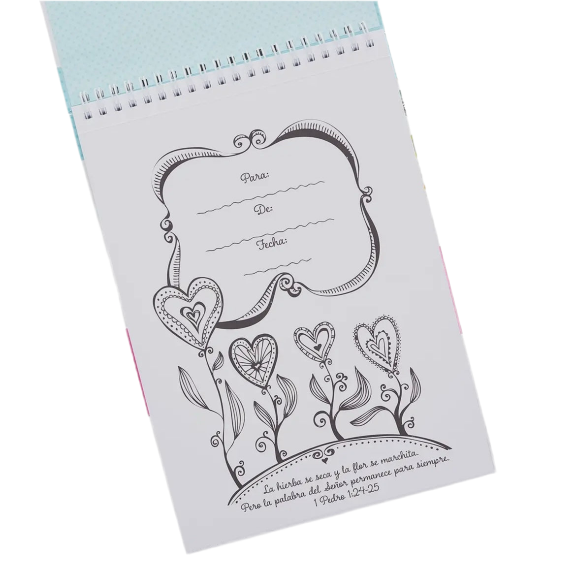 Libro Para Colorear La Palabra En Color