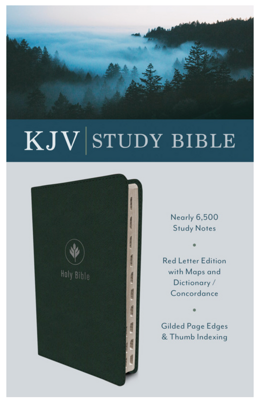 KJV Study Bible, Indexed, Evergreen Fog